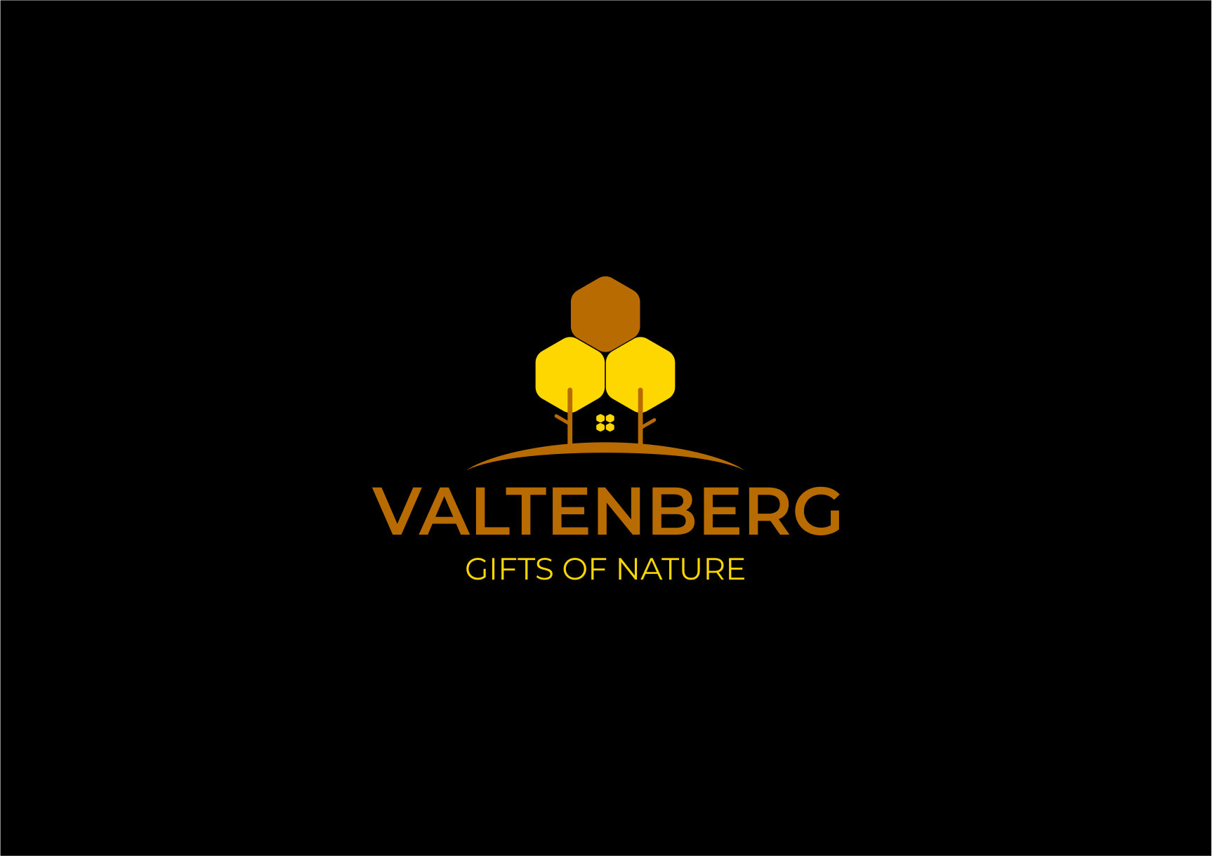 Valtenberg logo